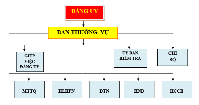 S-ng-y-x-N-m-tin.png